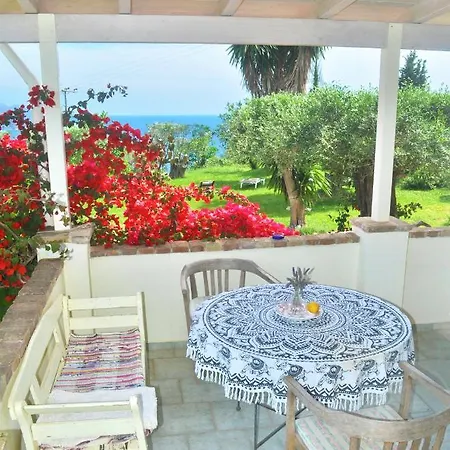 Lemoni * Пелекас